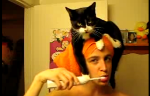 gatto si accomoda sulla testa della sua umana