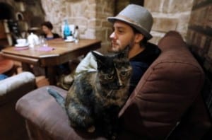 A tavola con i gatti: arriva a Roma il "Cat Bistrot"
