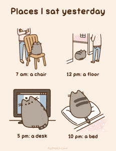 Pusheen3