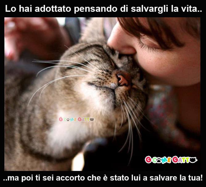 salvare vita