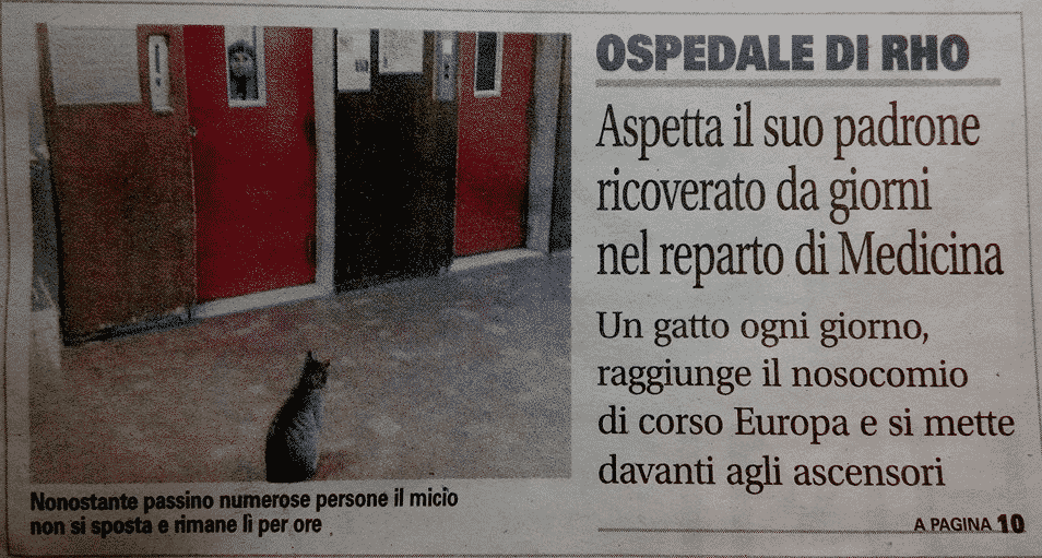 ospedalerhomilano1