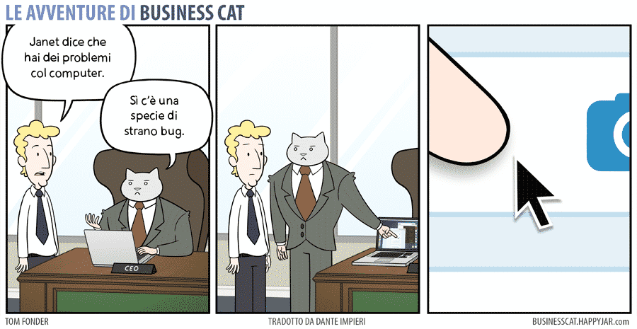 gatto come capo al lavoro