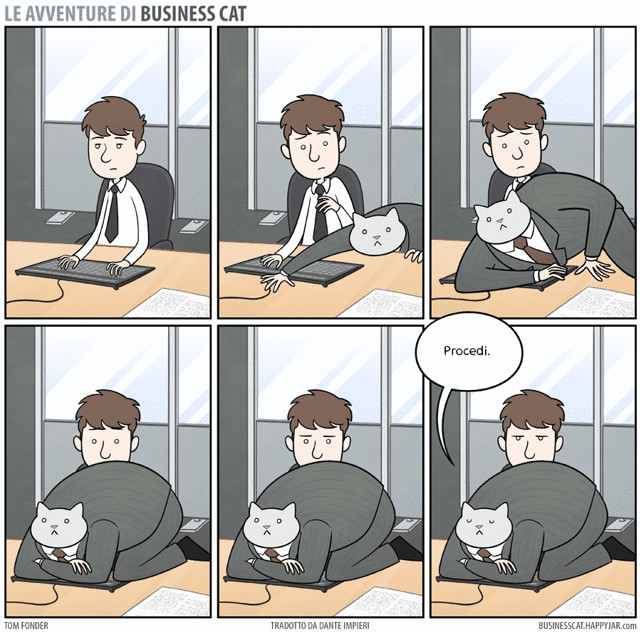 gatto capo al lavoro