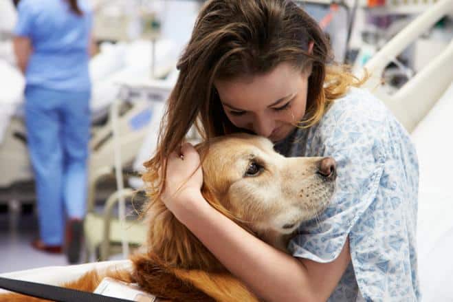 cani gatti e conigli ammessi in ospedale