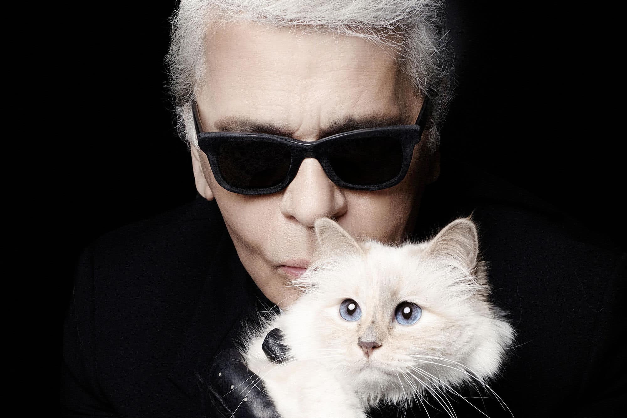 eredità al gatto di karl lagerfeld