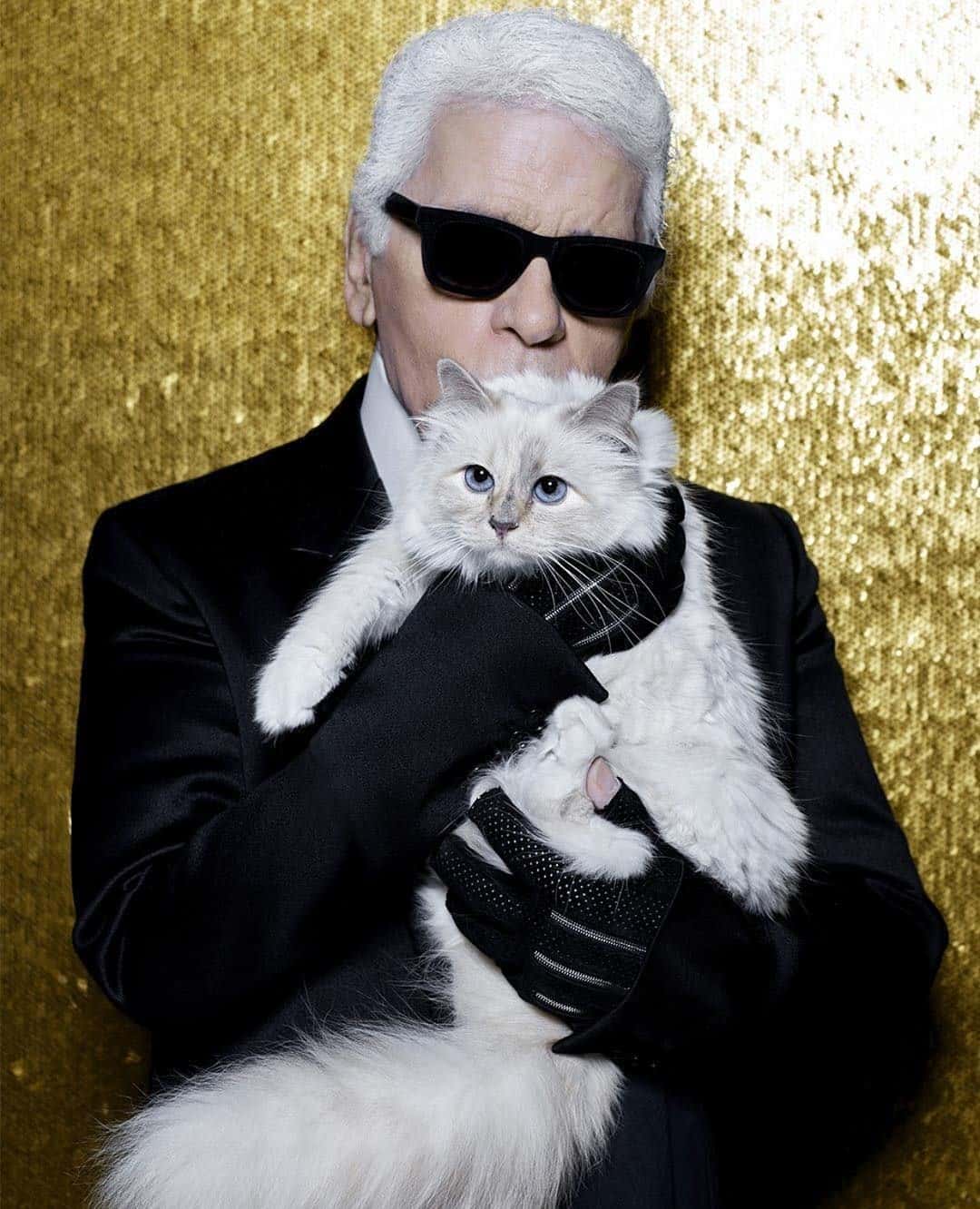 eredità al gatto di karl lagerfeld