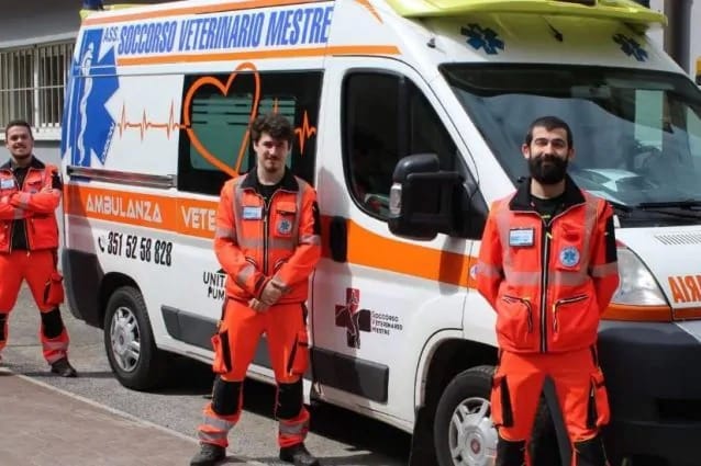 Un'ambulanza veterinaria per Venezia