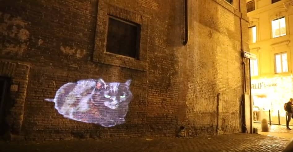 I murales luminosi felini di Roma