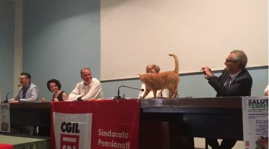 Gatto Rossini al Convegno sulla sanità di Rovigo