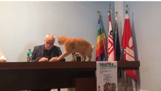 Gatto Rossini al Convegno sulla sanità di Rovigo