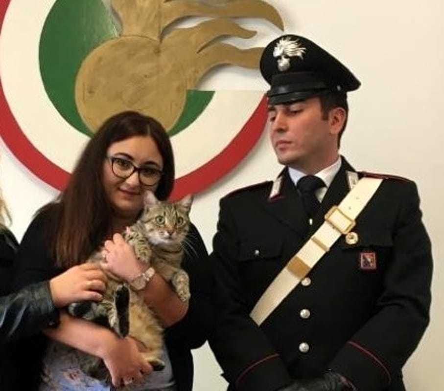 Un riscatto per il gatto