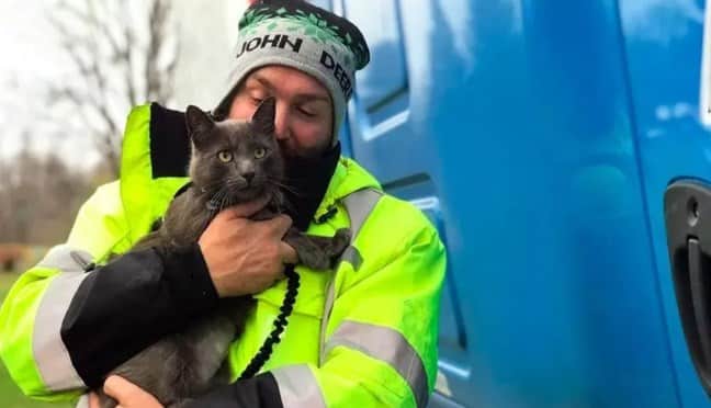 Il camionista ha ritrovato il suo gatto