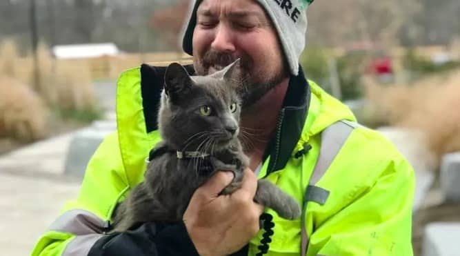 Il camionista ha ritrovato il suo gatto