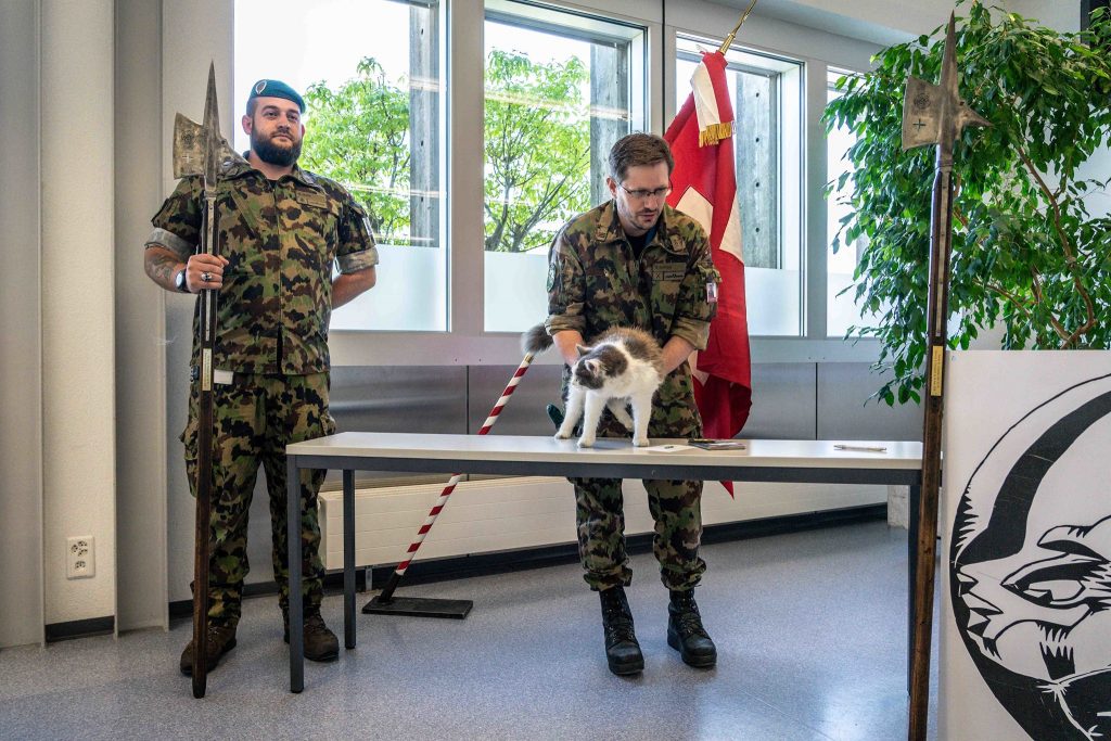 La felina aiutante di Stato Maggiore Lili