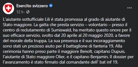 La felina aiutante di Stato Maggiore Lili