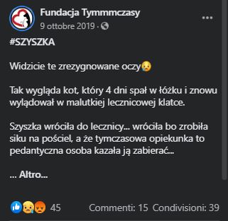 La gatta Szyszka e la sua adozione fallita