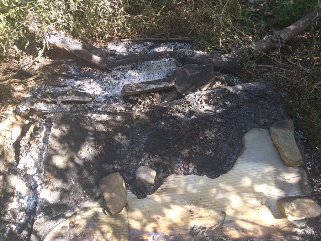 Colonia felina bruciata a Quartu Sant'Elena