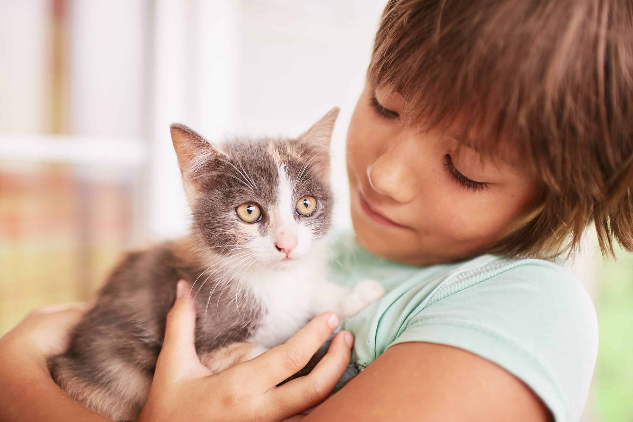 bambini autistici e gatti