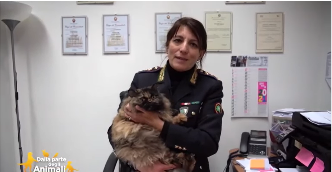 la prima gatta poliziotta d'Italia