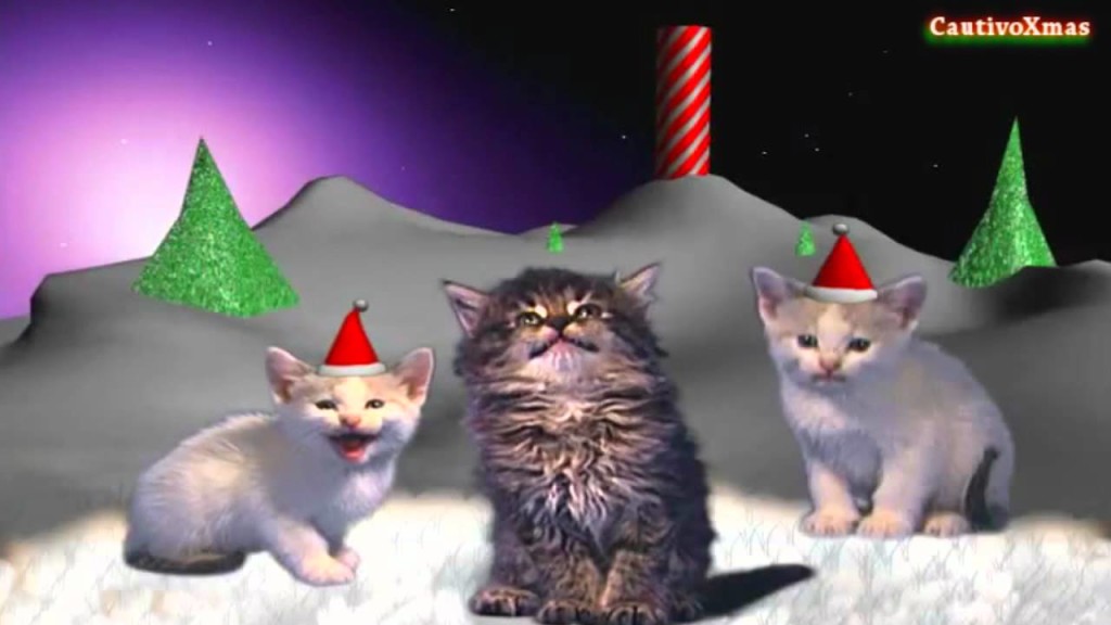 Video – Gatti cantano Silent Night per augurarvi buon Natale