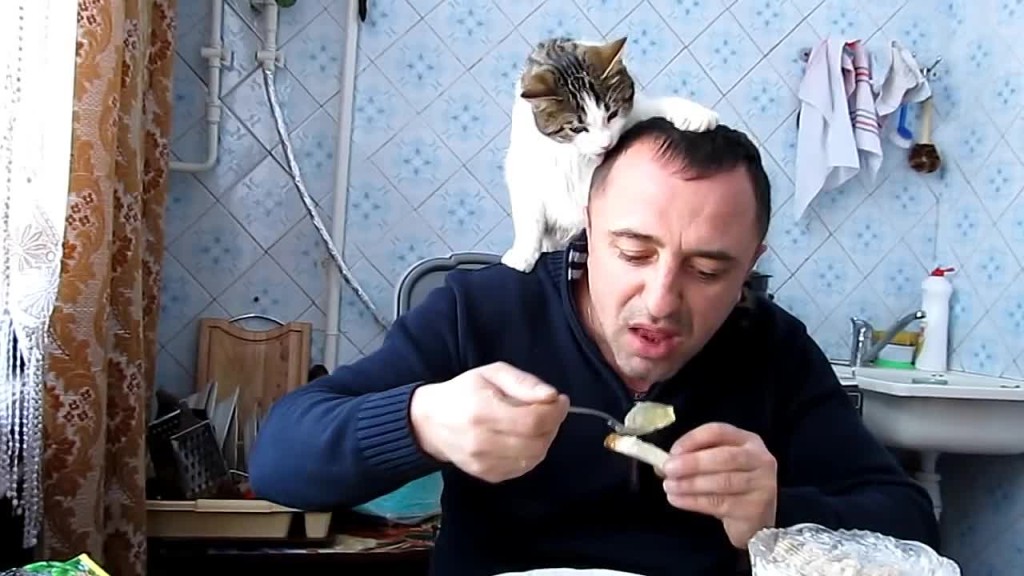 Video – Ho un gatto per.. cappello!
