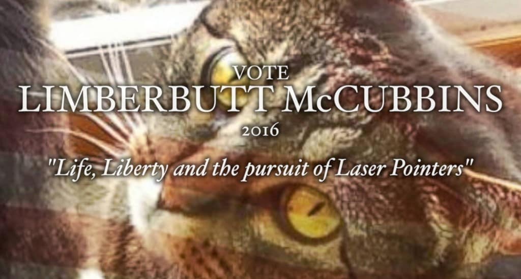 Limberbutt McCubbins: il gatto candidato come presidente degli USA