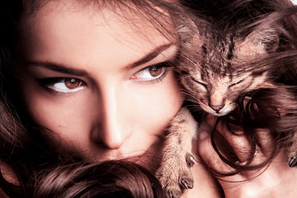 Perchè innamorarsi di un amante dei gatti: ecco 14 motivi
