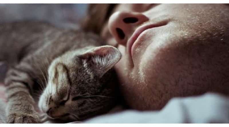 perchè i gatti dormono insieme a noi