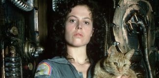 il gatto di alien