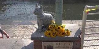 ettore gatto pescatori viareggio