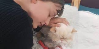 gatto e bambino autistico