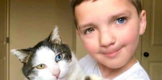 Il piccolo Madden, vittima di bullismo, trova nel gatto Moon un amico speciale