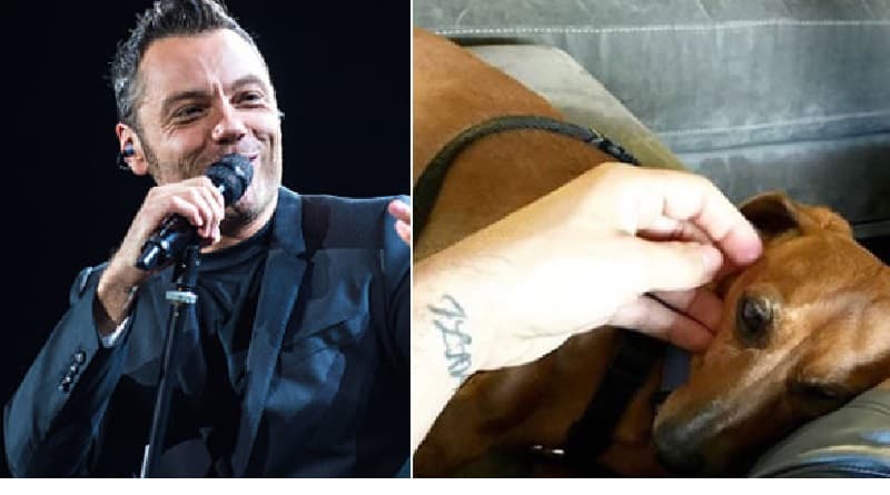 Tiziano Ferro a favore dei randagi