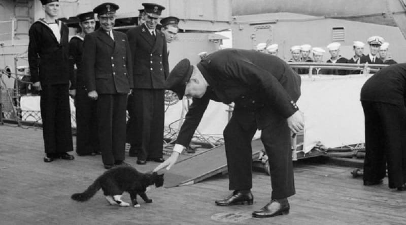 Churchill e i gatti