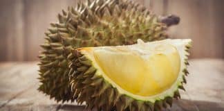 gatti reagiscono al durian frutto