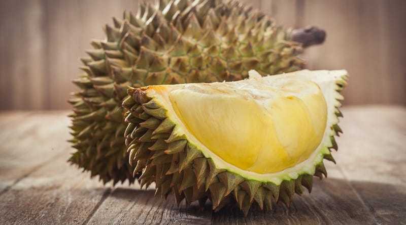 gatti reagiscono al durian frutto