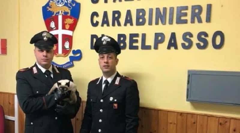 gatto salvato dai carabinieri