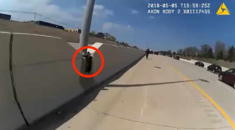 poliziotto salva gattina sull'autostrada