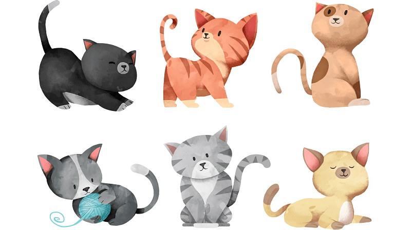 Test: scegli un gatto e ti dirò che personalità hai!