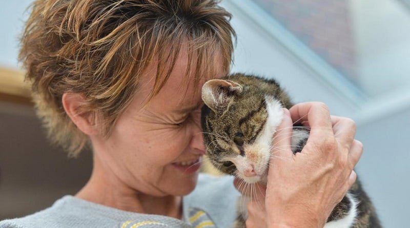 gatta torna a casa dopo 13 anni