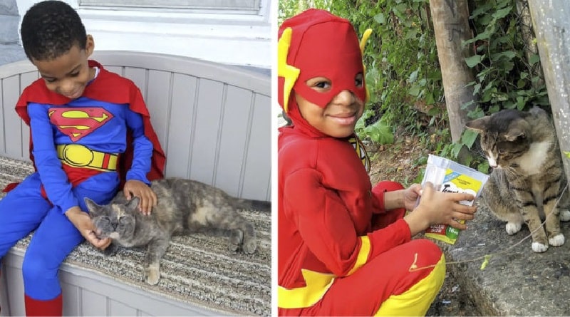 il bambino che aiuta i gatti randagi vestito da supereroe
