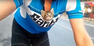 Un ciclista salva una gattina e la porta per 30 Km nella sua maglietta