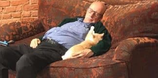 nonno volontario dorme insieme ai gatti