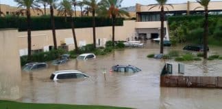 alluvione sicilia animali