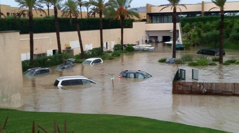 alluvione sicilia animali