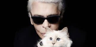 eredità al gatto di karl lagerfeld