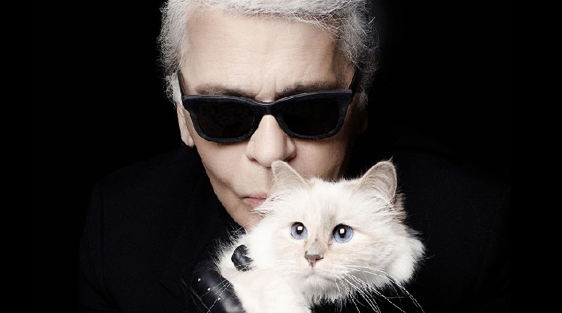 eredità al gatto di karl lagerfeld