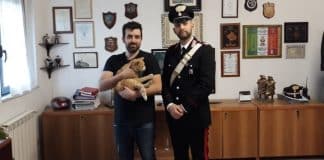 rapito un gatto a Sarzana