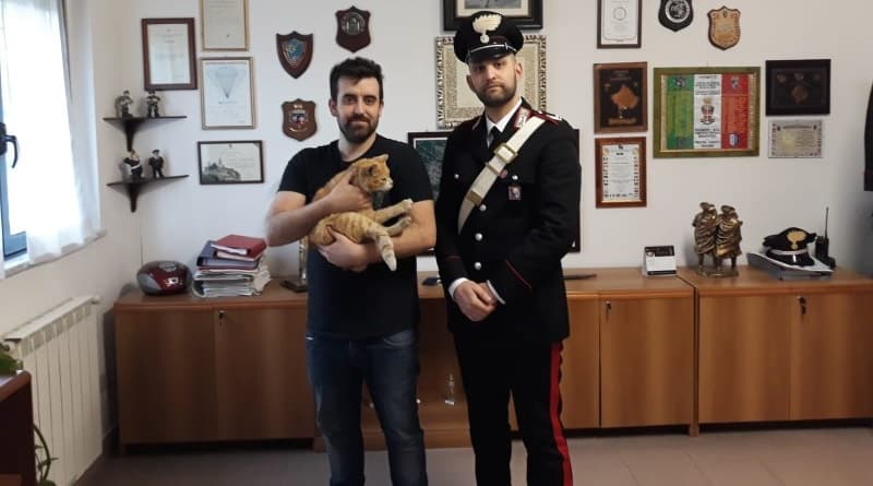 rapito un gatto a Sarzana