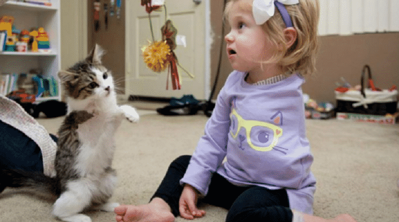 bambina con un braccio solo adotta gatto tripode